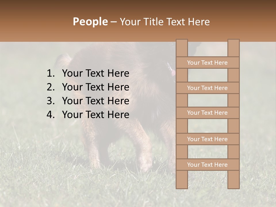 A Brown And Black Dog Standing On Top Of A Lush Green Field PowerPoint Template