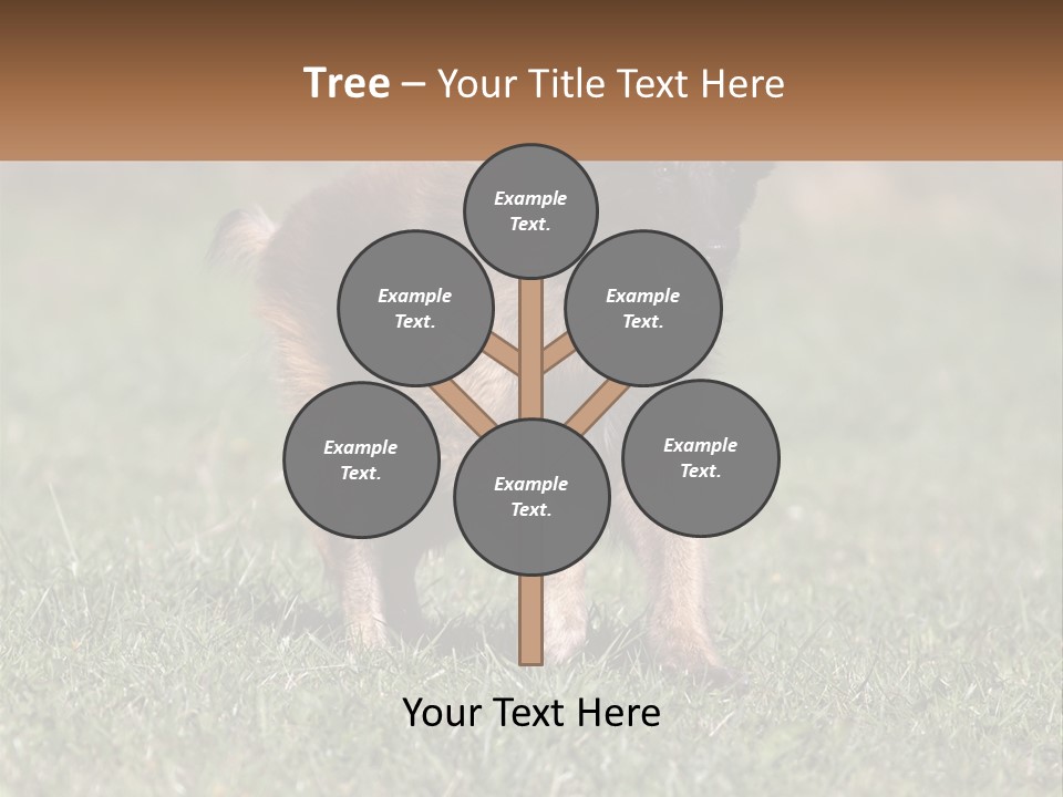 A Brown And Black Dog Standing On Top Of A Lush Green Field PowerPoint Template
