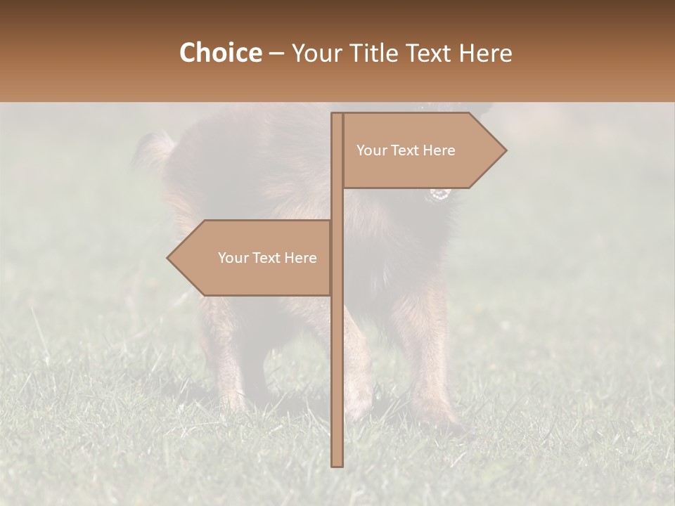 A Brown And Black Dog Standing On Top Of A Lush Green Field PowerPoint Template