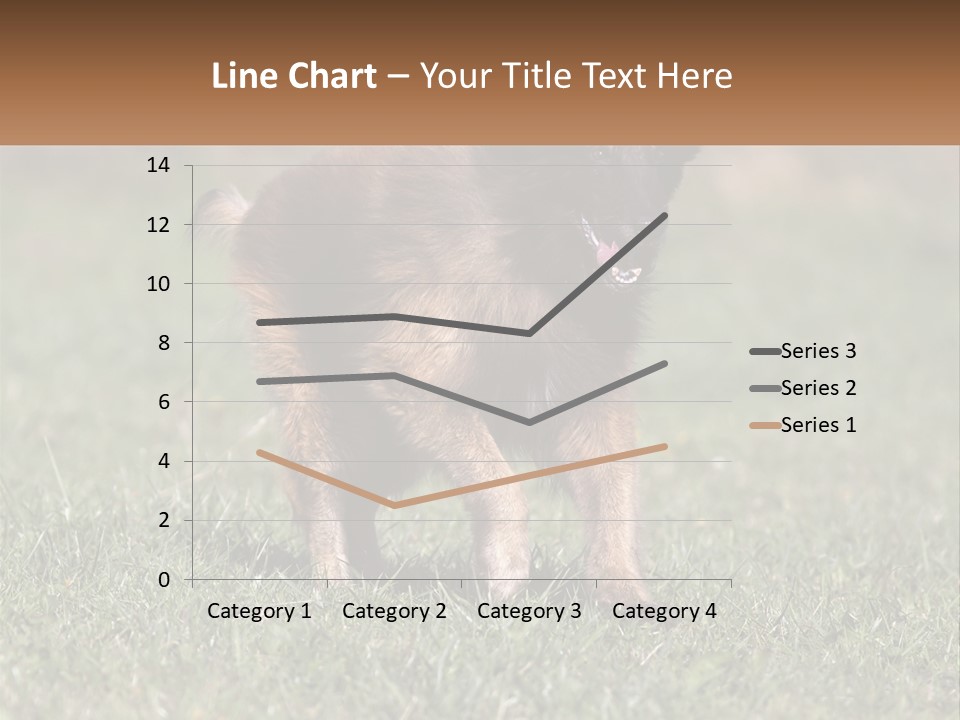 A Brown And Black Dog Standing On Top Of A Lush Green Field PowerPoint Template
