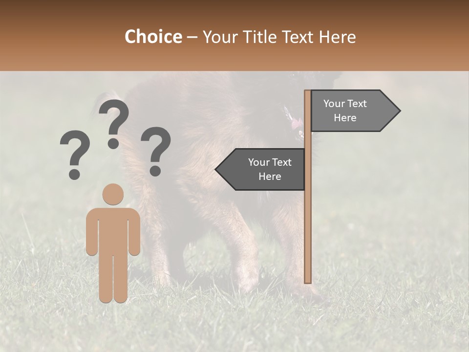 A Brown And Black Dog Standing On Top Of A Lush Green Field PowerPoint Template