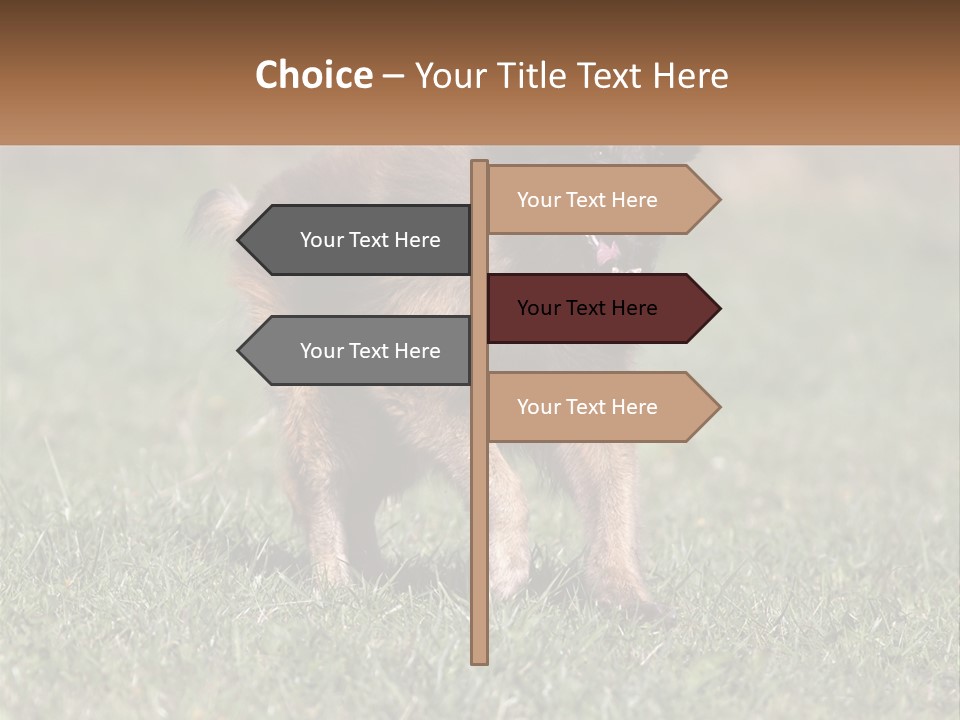 A Brown And Black Dog Standing On Top Of A Lush Green Field PowerPoint Template