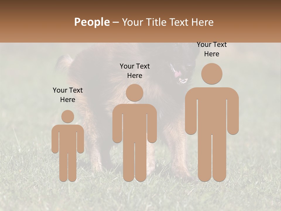 A Brown And Black Dog Standing On Top Of A Lush Green Field PowerPoint Template