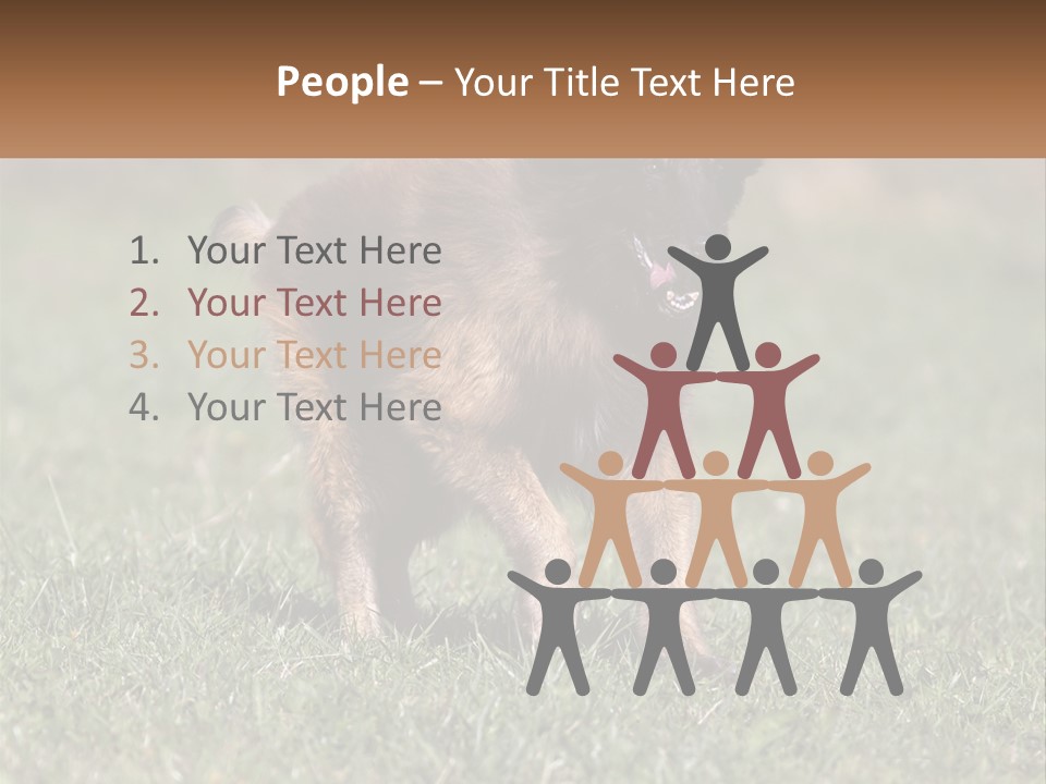 A Brown And Black Dog Standing On Top Of A Lush Green Field PowerPoint Template