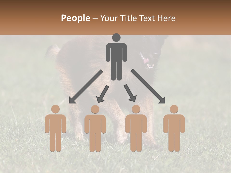 A Brown And Black Dog Standing On Top Of A Lush Green Field PowerPoint Template