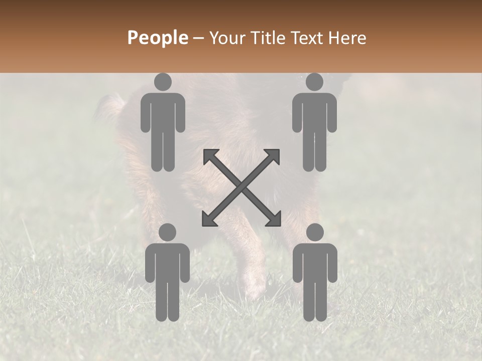 A Brown And Black Dog Standing On Top Of A Lush Green Field PowerPoint Template