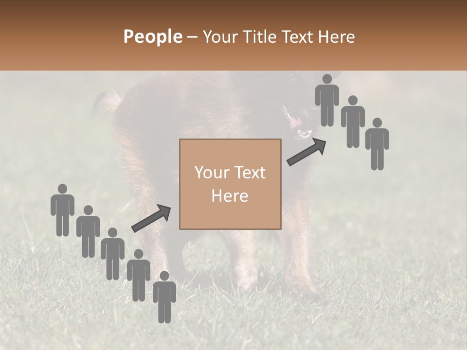 A Brown And Black Dog Standing On Top Of A Lush Green Field PowerPoint Template