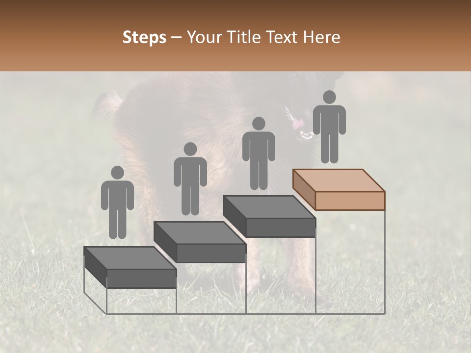 A Brown And Black Dog Standing On Top Of A Lush Green Field PowerPoint Template