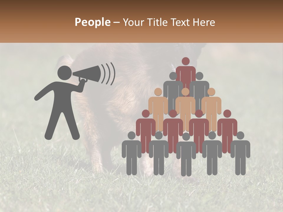 A Brown And Black Dog Standing On Top Of A Lush Green Field PowerPoint Template