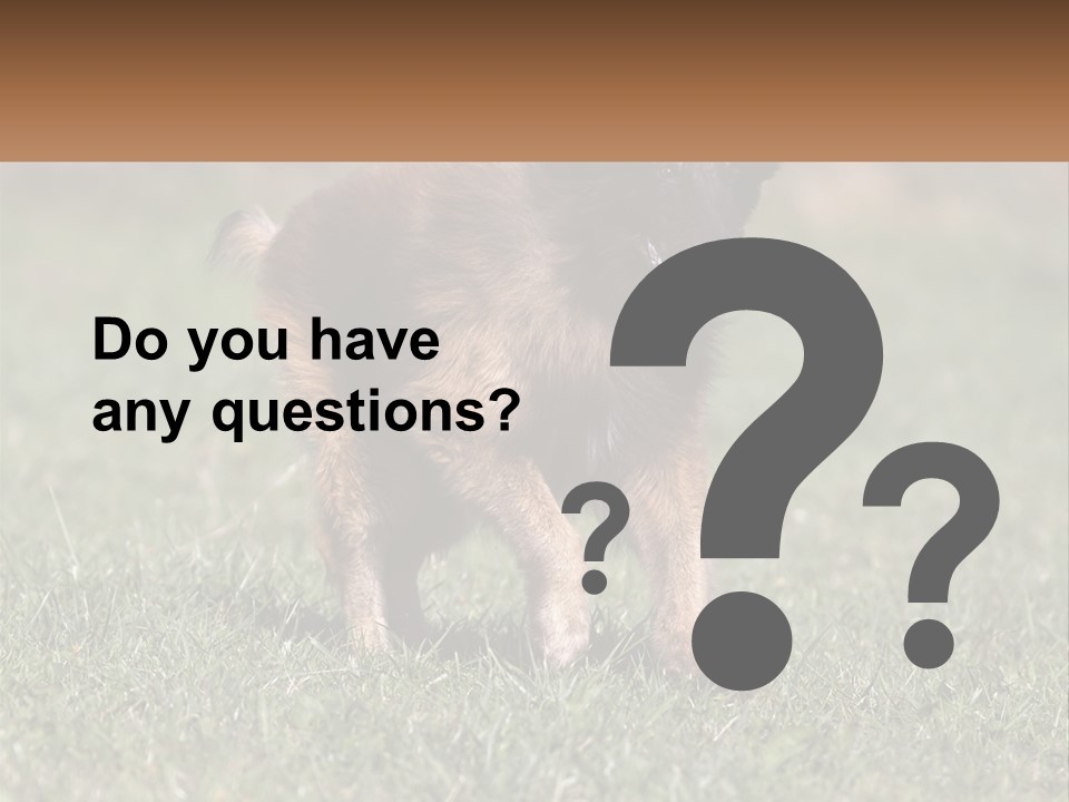 A Brown And Black Dog Standing On Top Of A Lush Green Field PowerPoint Template
