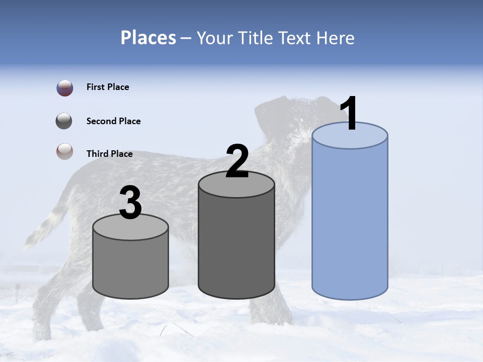 A Gray And Black Dog Standing In The Snow PowerPoint Template