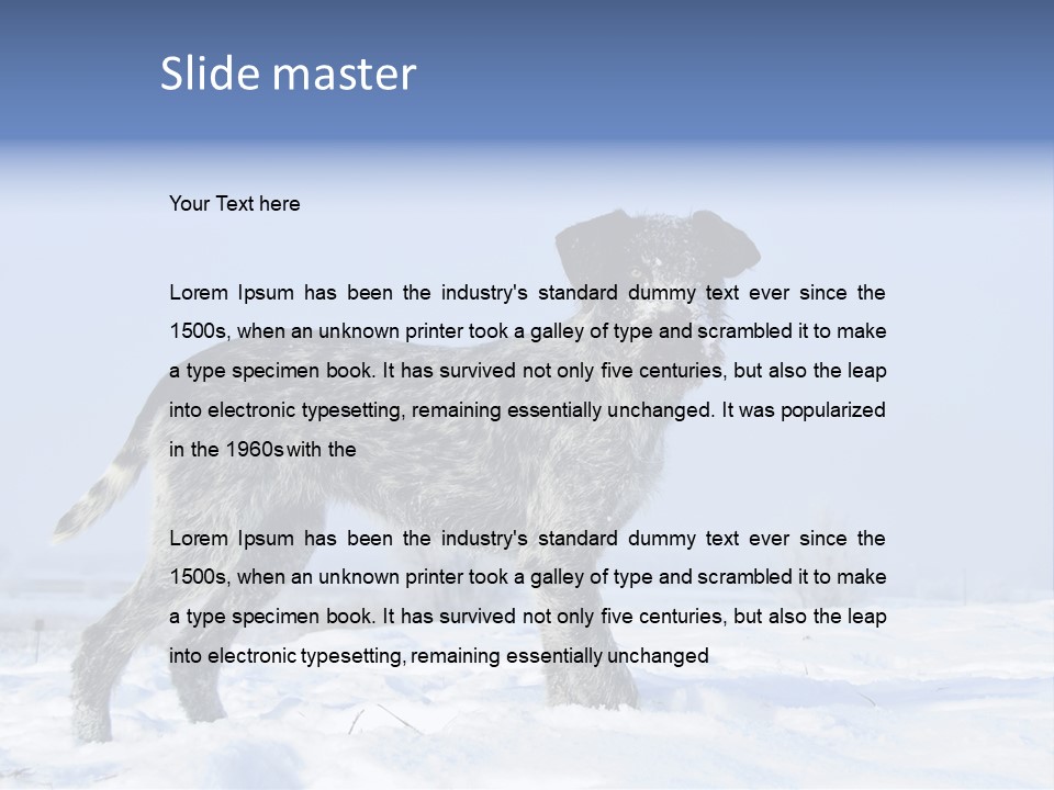 A Gray And Black Dog Standing In The Snow PowerPoint Template