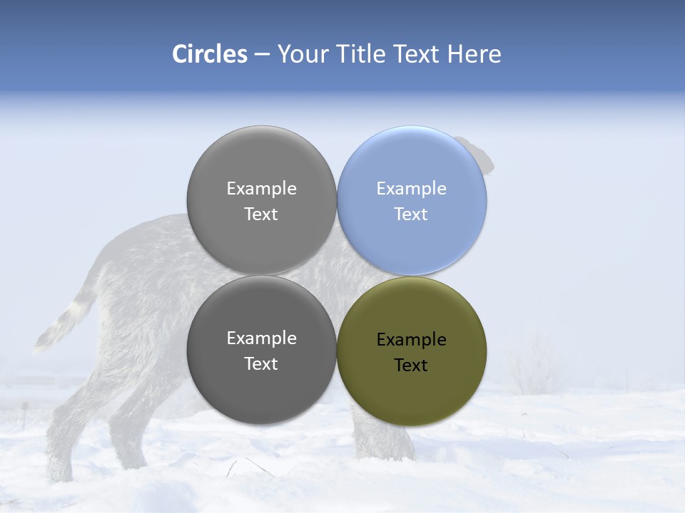 A Gray And Black Dog Standing In The Snow PowerPoint Template