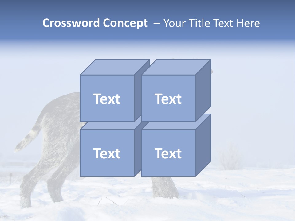 A Gray And Black Dog Standing In The Snow PowerPoint Template