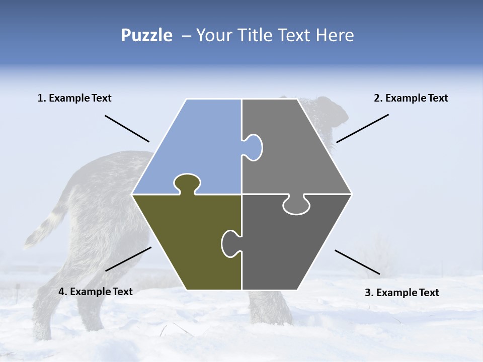 A Gray And Black Dog Standing In The Snow PowerPoint Template