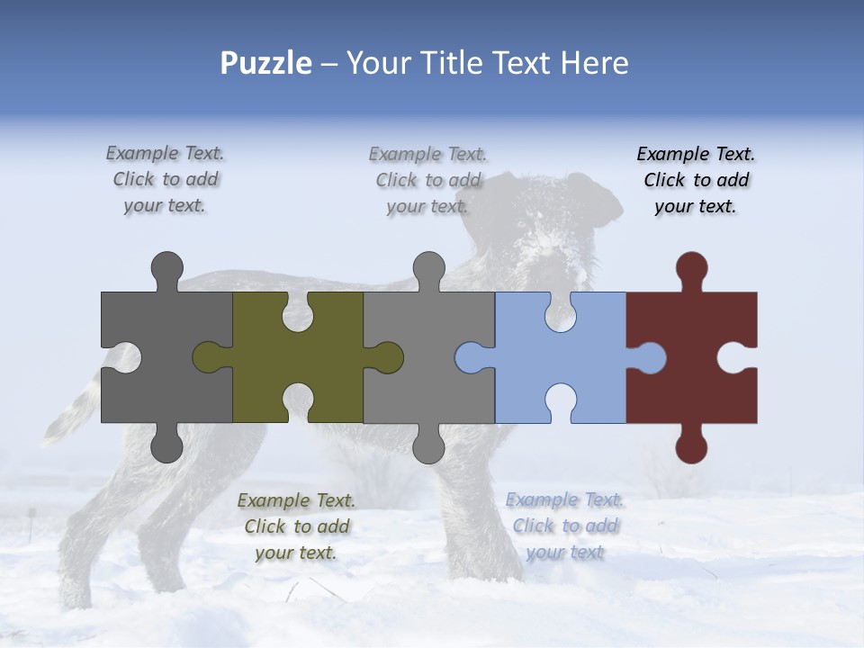 A Gray And Black Dog Standing In The Snow PowerPoint Template