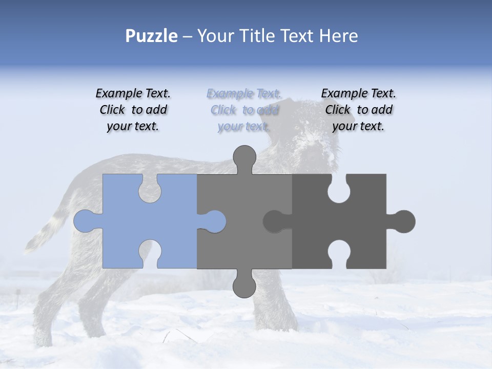 A Gray And Black Dog Standing In The Snow PowerPoint Template