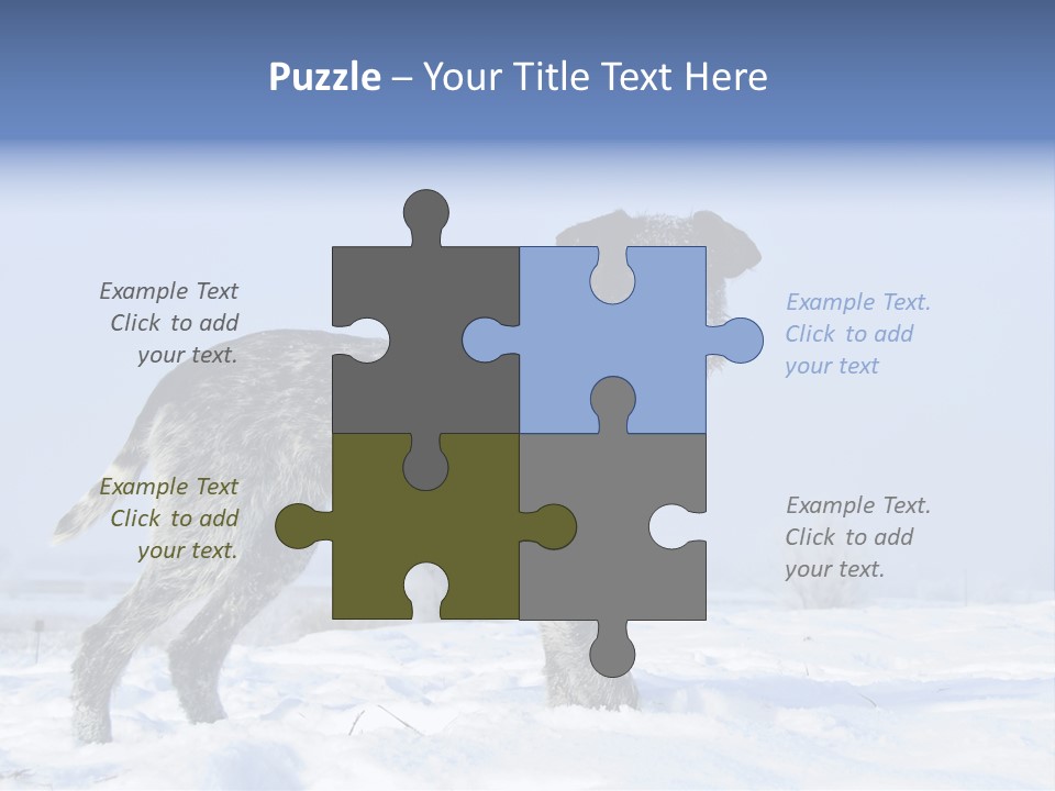 A Gray And Black Dog Standing In The Snow PowerPoint Template