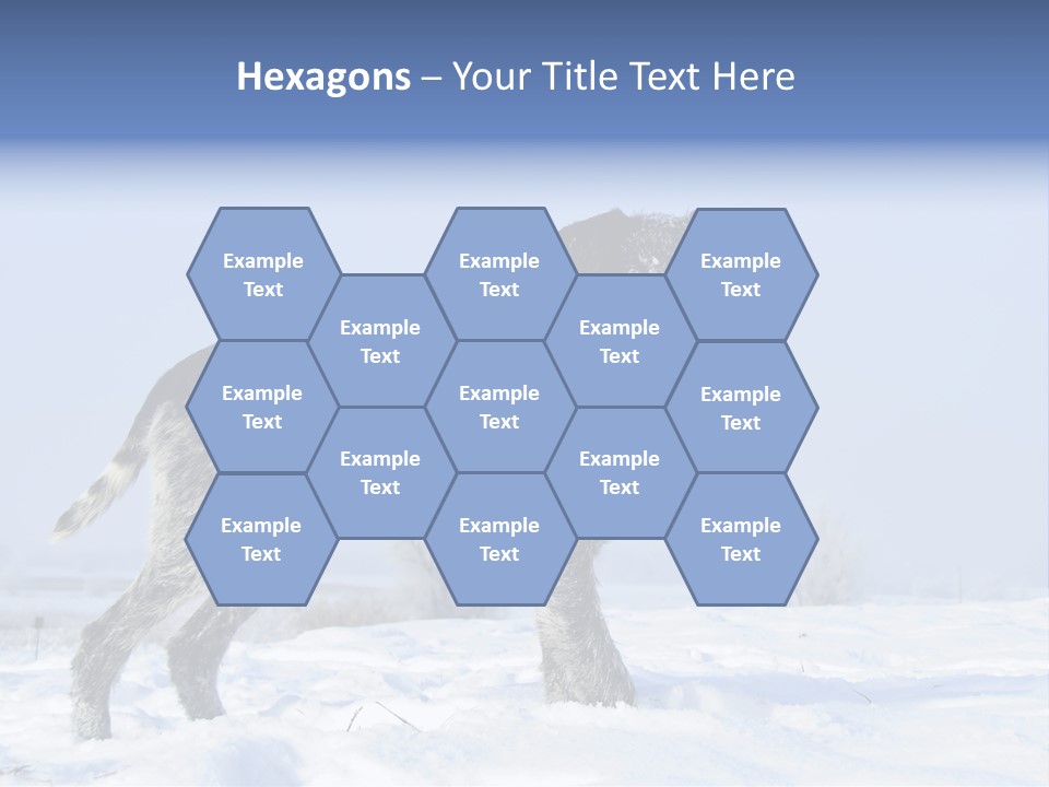 A Gray And Black Dog Standing In The Snow PowerPoint Template