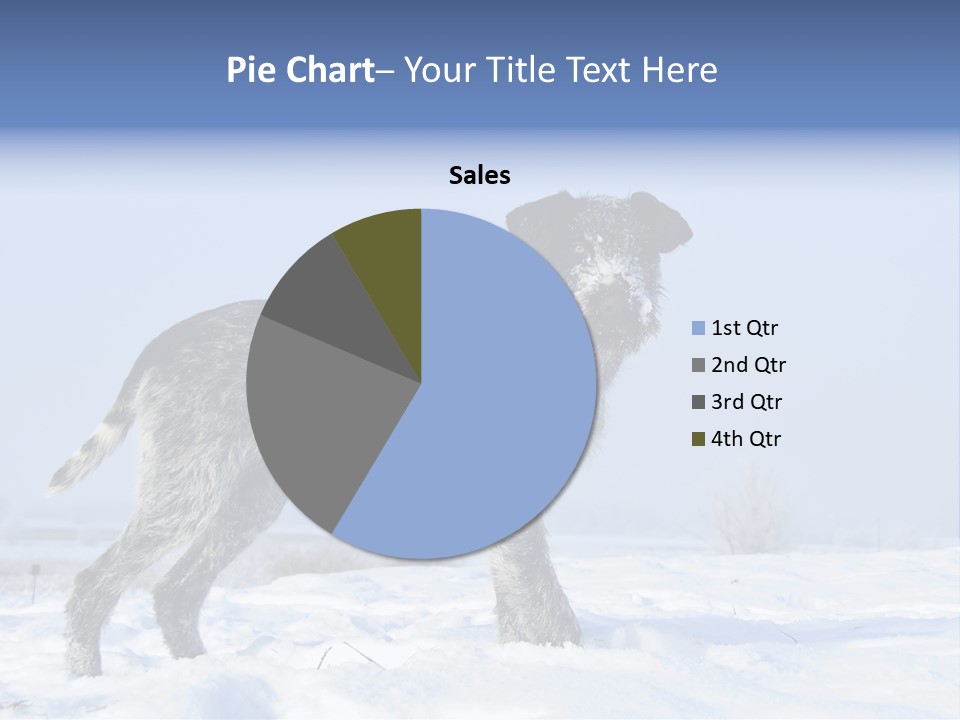 A Gray And Black Dog Standing In The Snow PowerPoint Template