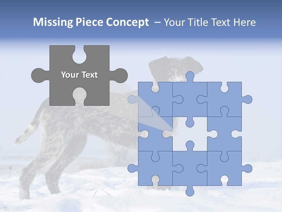 A Gray And Black Dog Standing In The Snow PowerPoint Template