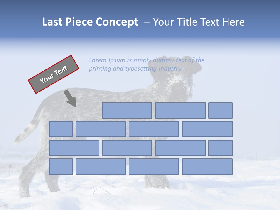 A Gray And Black Dog Standing In The Snow PowerPoint Template