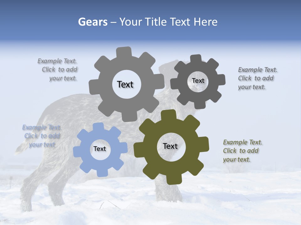 A Gray And Black Dog Standing In The Snow PowerPoint Template