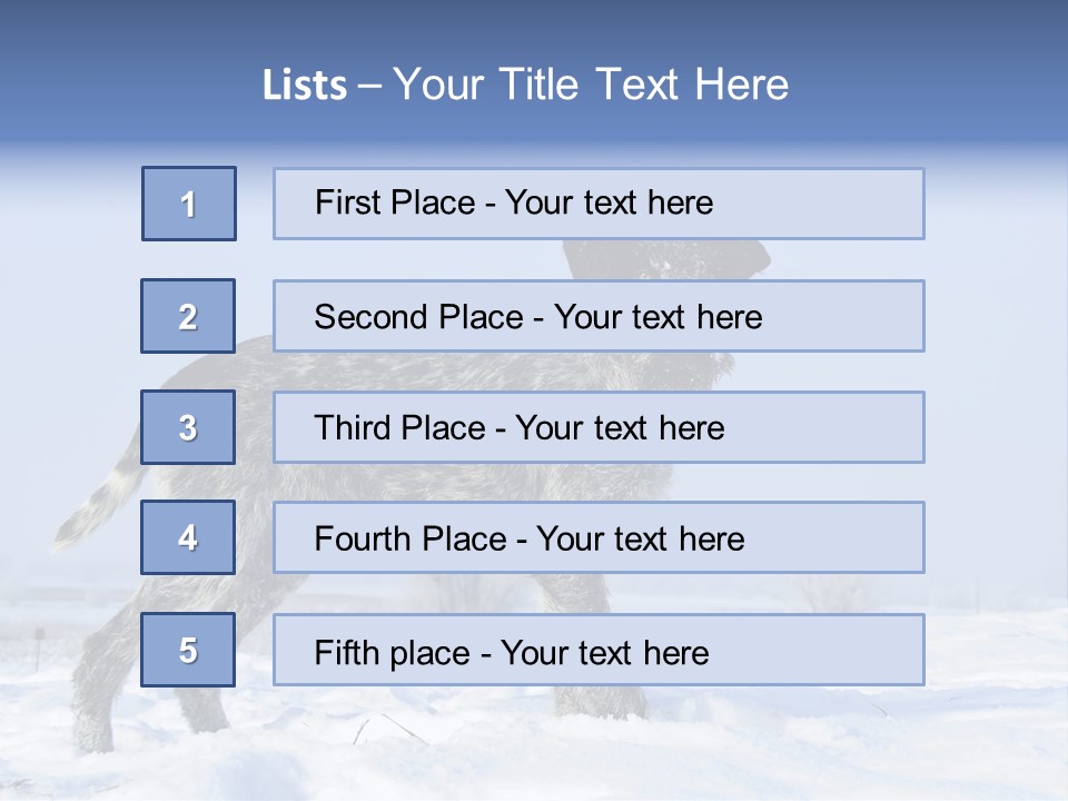 A Gray And Black Dog Standing In The Snow PowerPoint Template