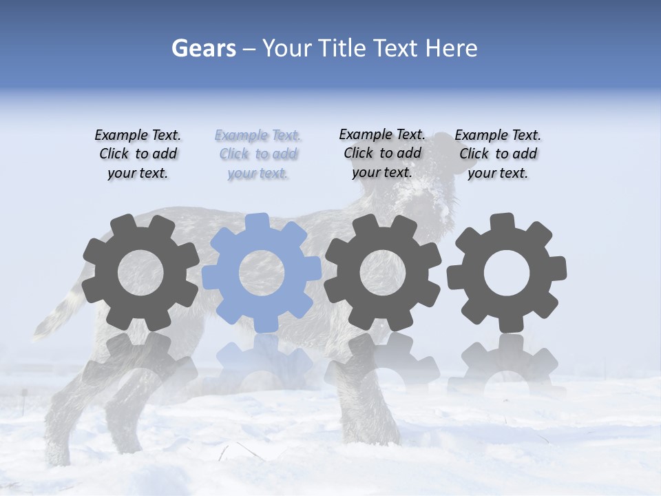 A Gray And Black Dog Standing In The Snow PowerPoint Template