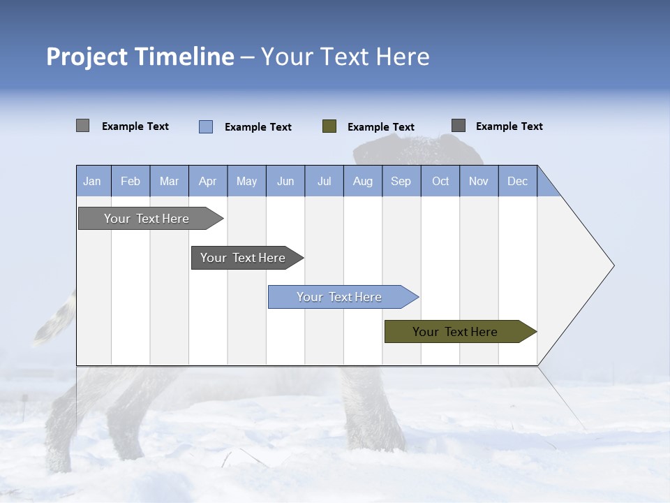 A Gray And Black Dog Standing In The Snow PowerPoint Template