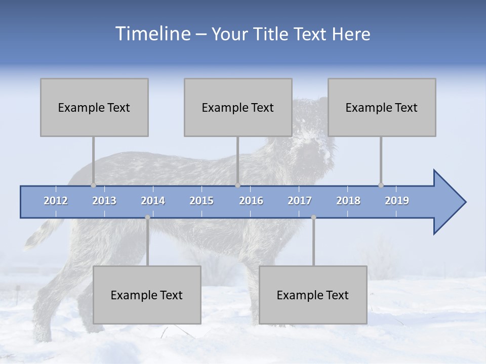 A Gray And Black Dog Standing In The Snow PowerPoint Template