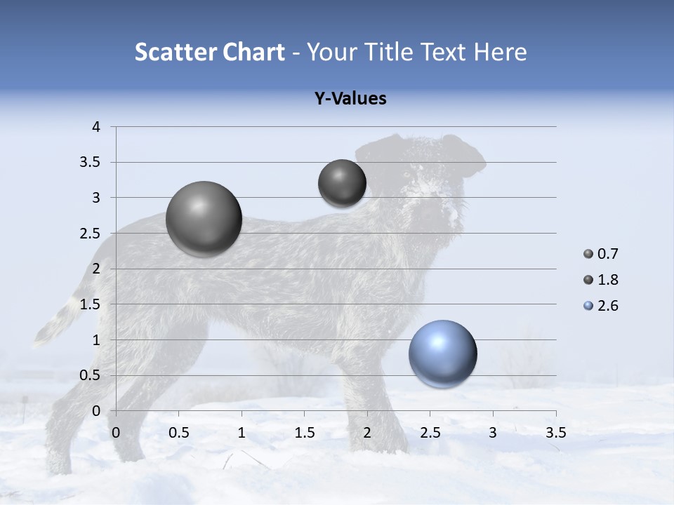 A Gray And Black Dog Standing In The Snow PowerPoint Template