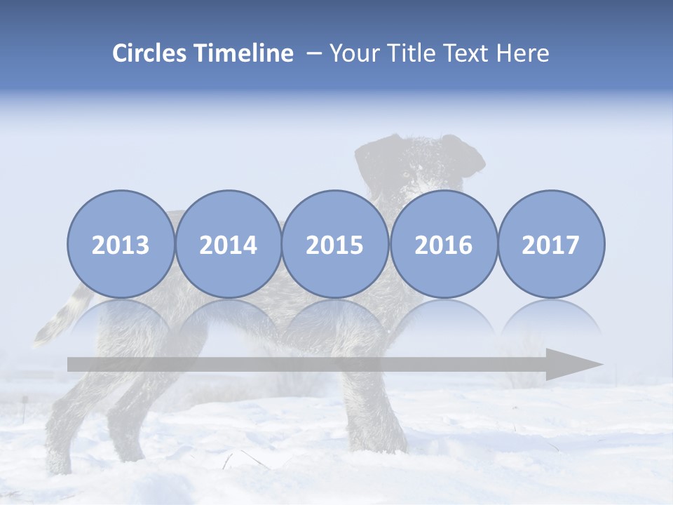 A Gray And Black Dog Standing In The Snow PowerPoint Template