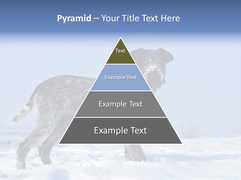 A Gray And Black Dog Standing In The Snow PowerPoint Template