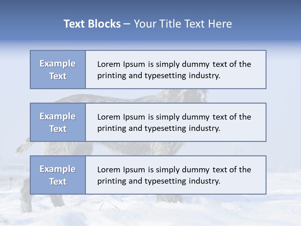 A Gray And Black Dog Standing In The Snow PowerPoint Template