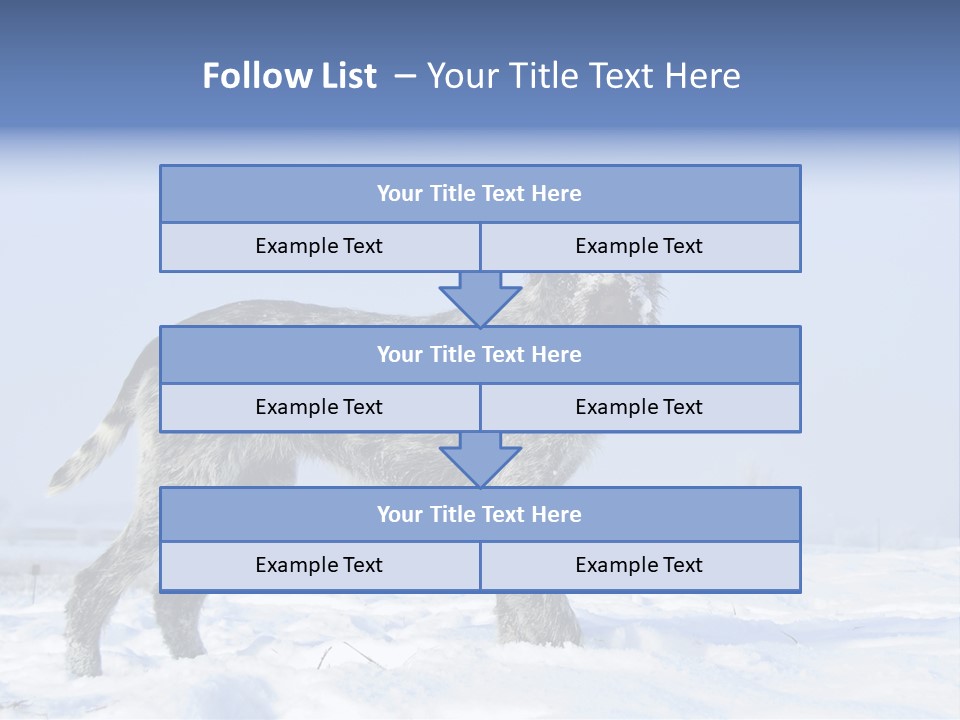 A Gray And Black Dog Standing In The Snow PowerPoint Template