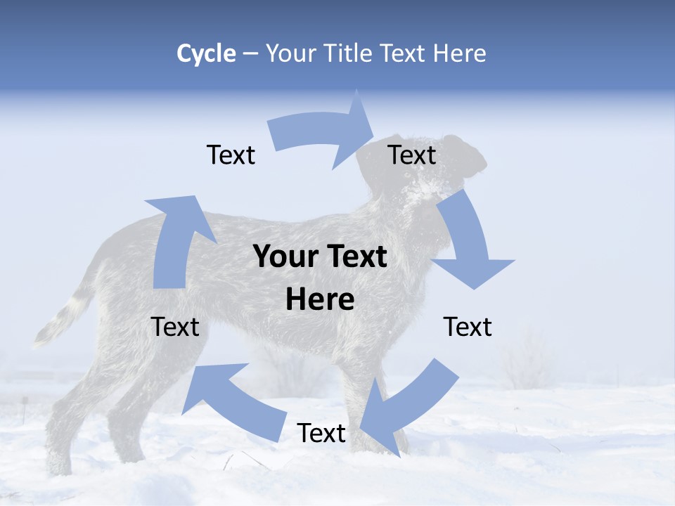 A Gray And Black Dog Standing In The Snow PowerPoint Template