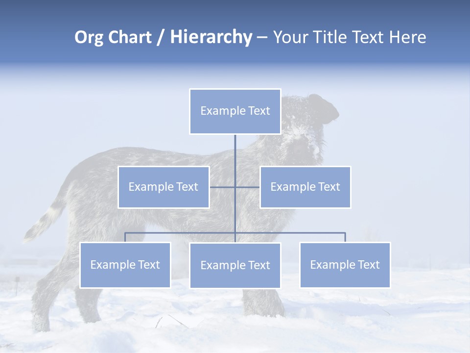 A Gray And Black Dog Standing In The Snow PowerPoint Template