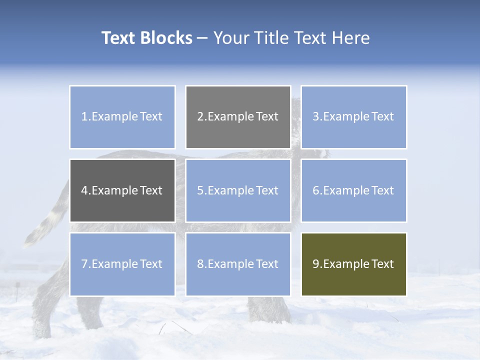 A Gray And Black Dog Standing In The Snow PowerPoint Template