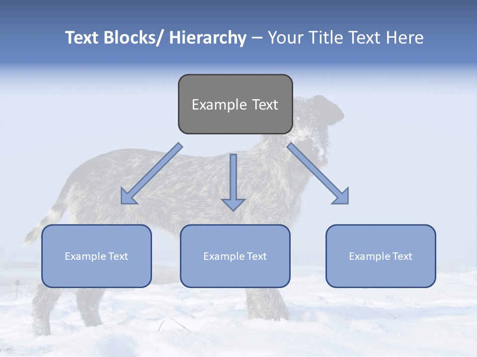 A Gray And Black Dog Standing In The Snow PowerPoint Template