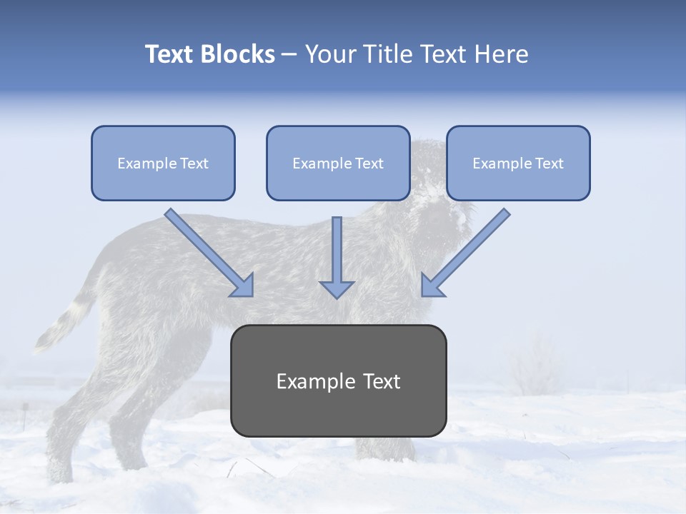 A Gray And Black Dog Standing In The Snow PowerPoint Template