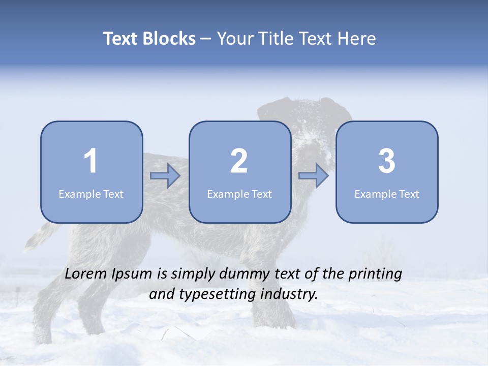 A Gray And Black Dog Standing In The Snow PowerPoint Template