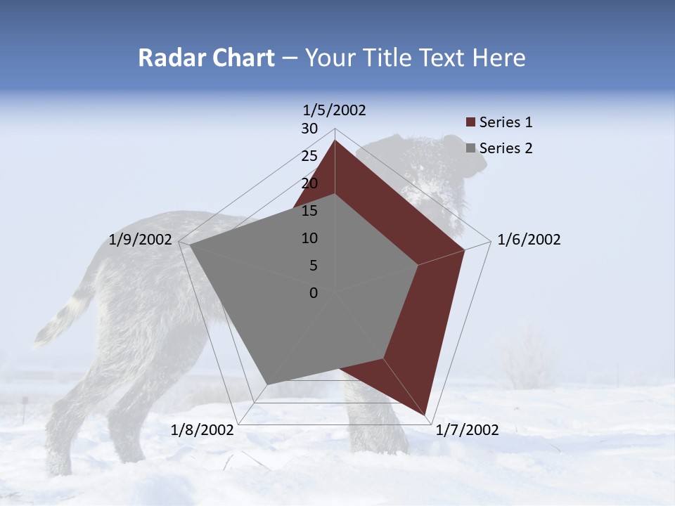 A Gray And Black Dog Standing In The Snow PowerPoint Template