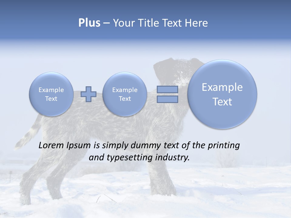 A Gray And Black Dog Standing In The Snow PowerPoint Template