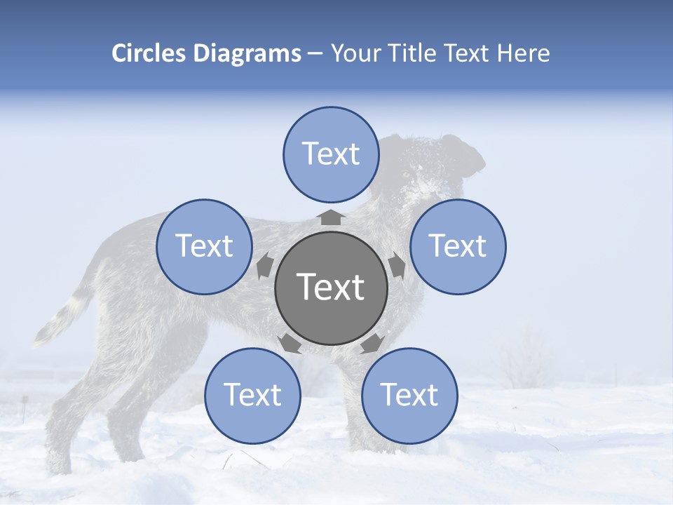 A Gray And Black Dog Standing In The Snow PowerPoint Template