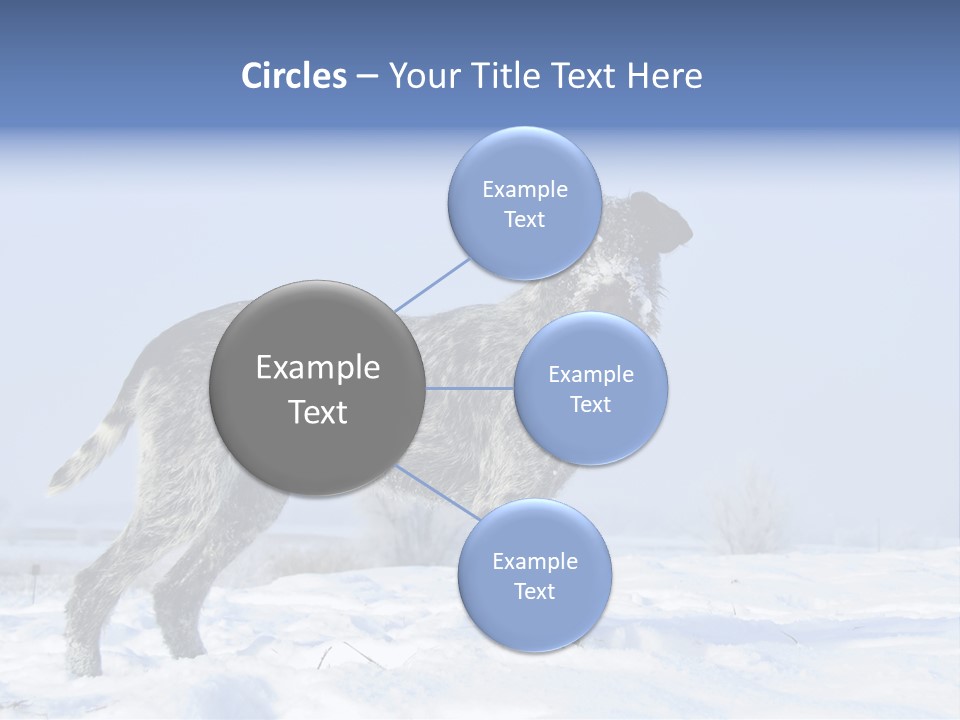A Gray And Black Dog Standing In The Snow PowerPoint Template