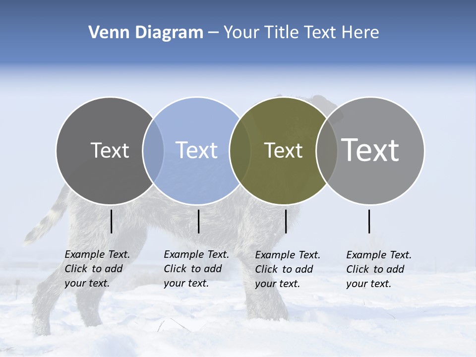 A Gray And Black Dog Standing In The Snow PowerPoint Template