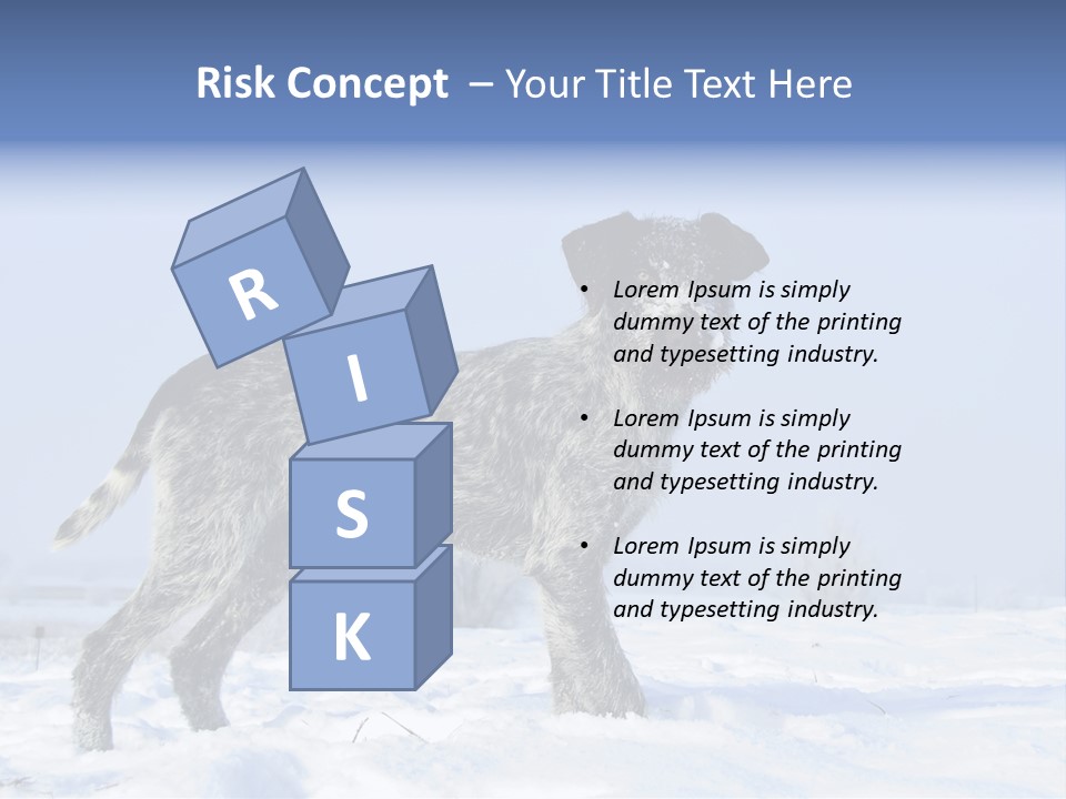 A Gray And Black Dog Standing In The Snow PowerPoint Template