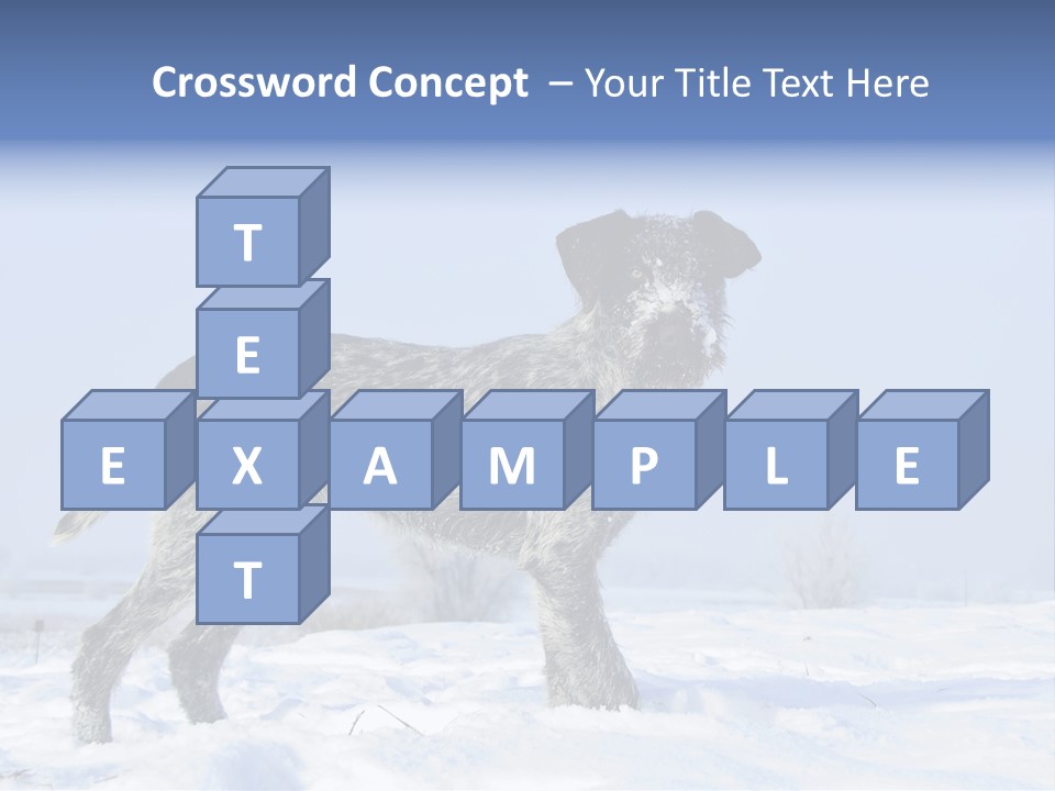A Gray And Black Dog Standing In The Snow PowerPoint Template