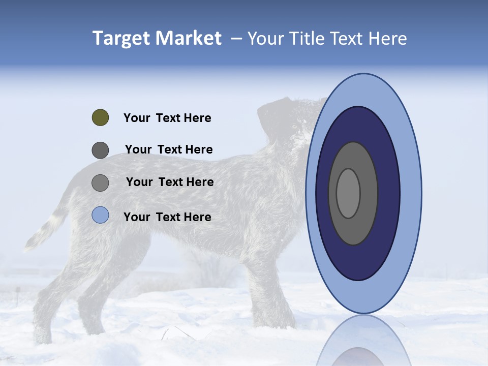 A Gray And Black Dog Standing In The Snow PowerPoint Template